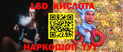 гидра Славгород