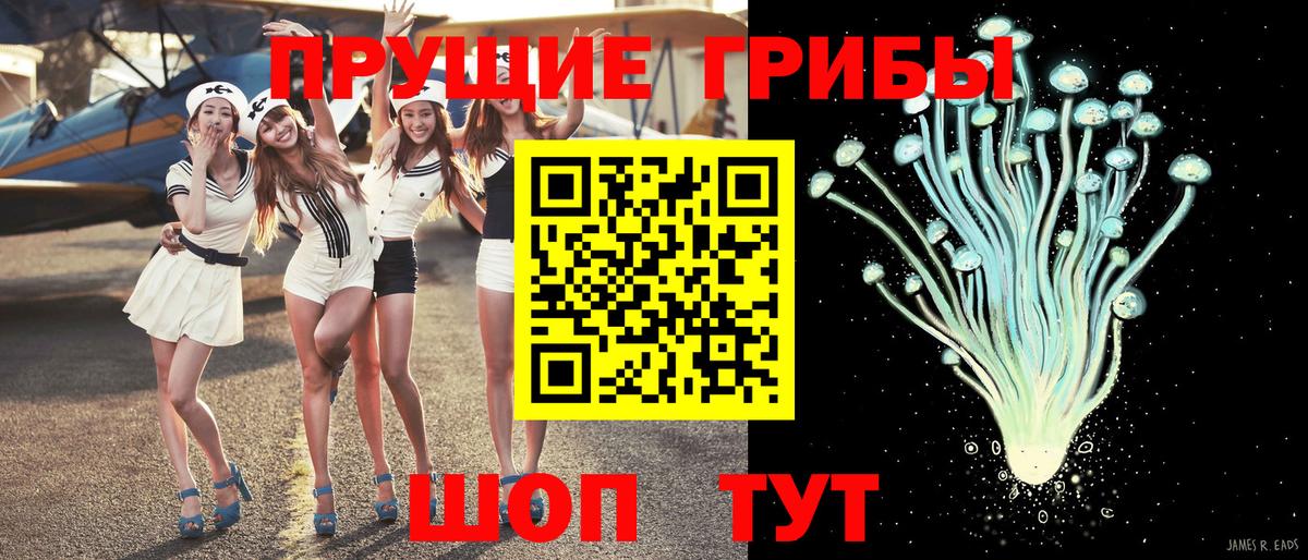 Псилоцибиновые грибы Cubensis Алексин