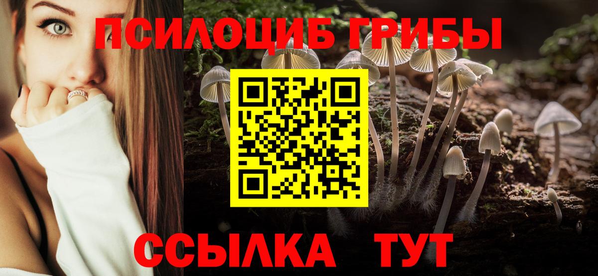 где найти наркотики  Псилоцибиновые грибы ЛСД  Галлюциногенные грибы Cubensis  Вход с VPN  Алексин 
