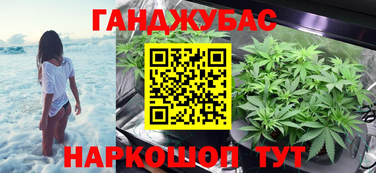 Канабис Ganja  Канабис гибрид  Канабис планчик  Алексин  Вход с VPN 